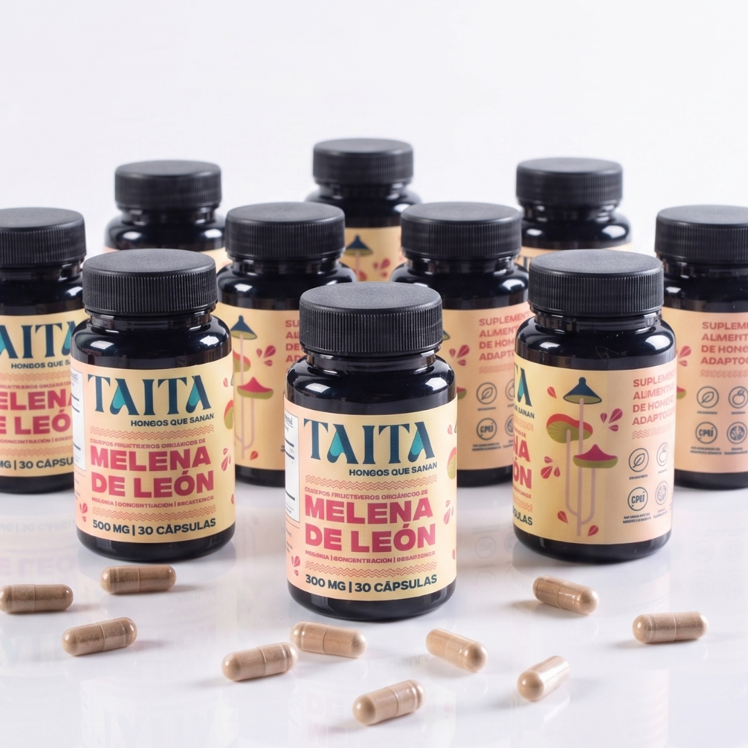 Caja Maestra | 12 frascos de Melena de León